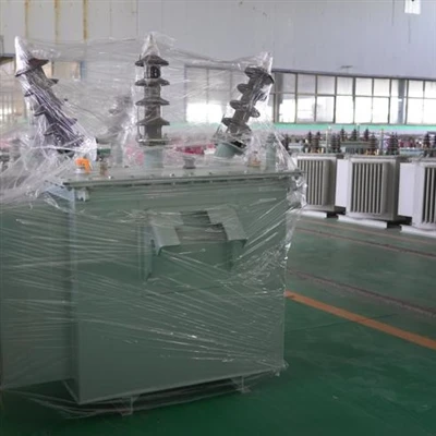 GNEE 50kVA moy-To‘ldirilgan transformator Avstraliya energetika loyihasini ku...